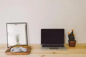 100% Home Office