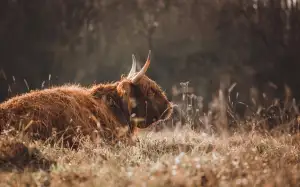 Jak Napsat Životopis